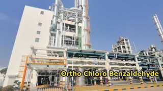 Para Chloro-Benzaldehyde-Changzhou Xindong Chemical Industry Development Co., Ltd.
