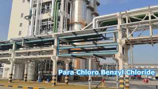 Chlorek parachlorobenzylu - Changzhou Xindong Chemical Industry Development Co., Ltd.